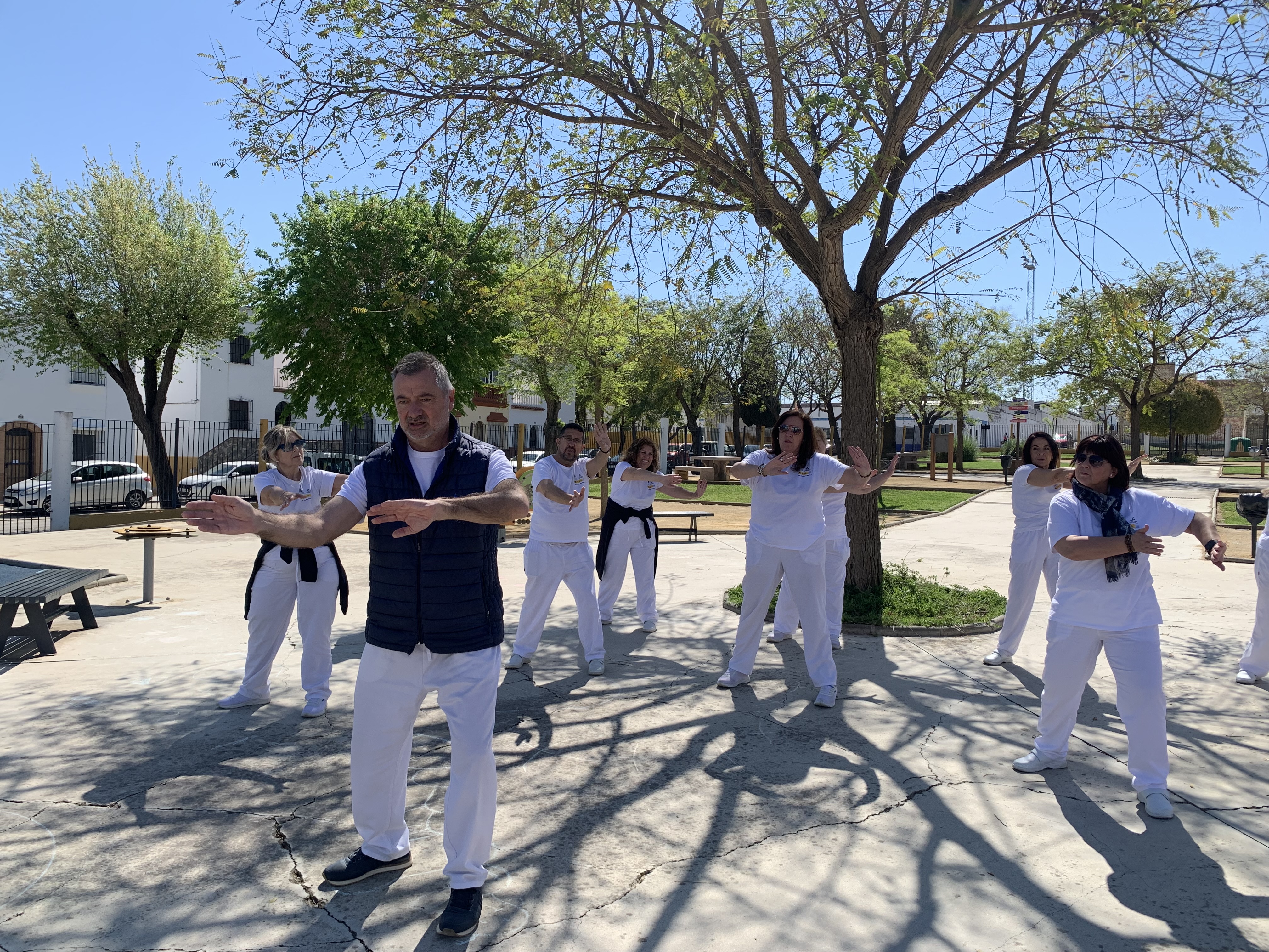Grupo de tai chi practicando al exterior en un parque, con luz natural